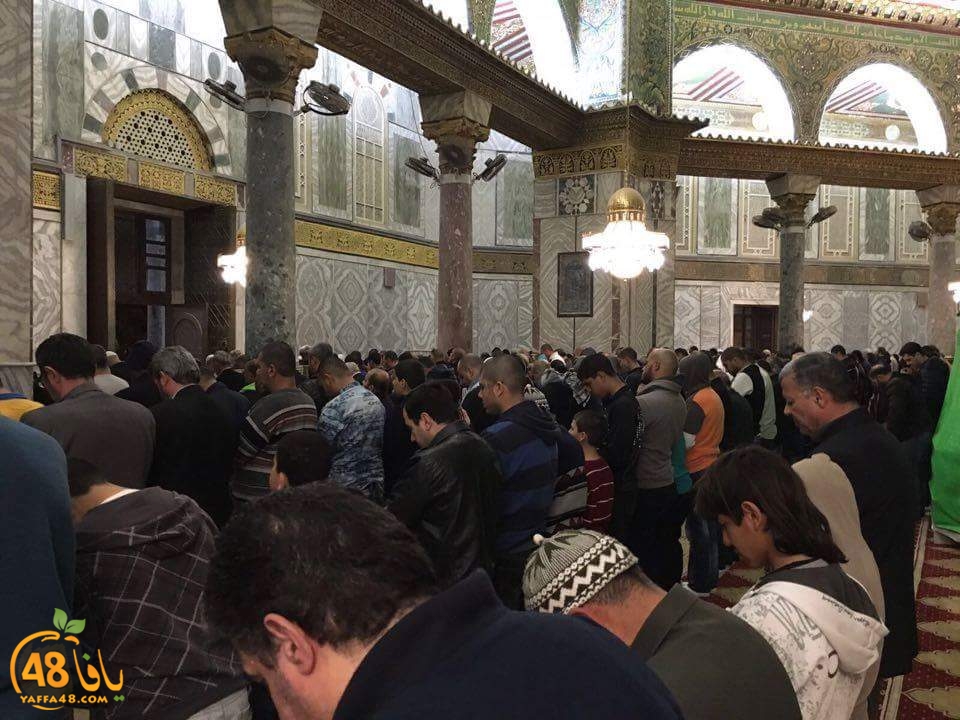 leqa2 shahrya (12).jpg